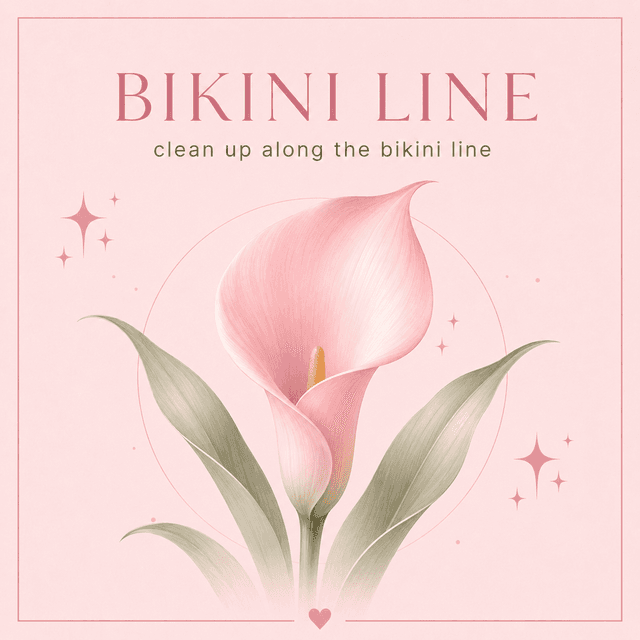 Bikini Line Wax Series (6 Visits) at Engage Beauty Studio in Fort Worth, TX